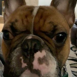 Meet your Posher, Brielle